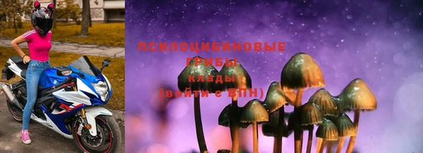 мяу мяу мука Беломорск