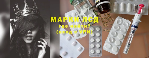 мяу мяу мука Беломорск
