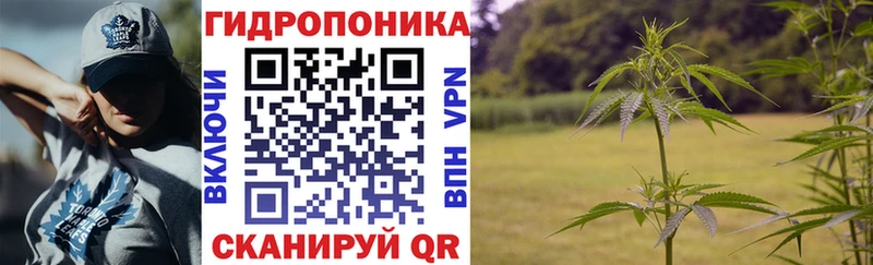 где купить наркотик  Ясногорск  blacksprut ССЫЛКА  Шишки марихуана конопля 